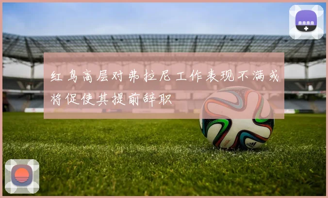 红鸟高层对弗拉尼工作表现不满或将促使其提前辞职